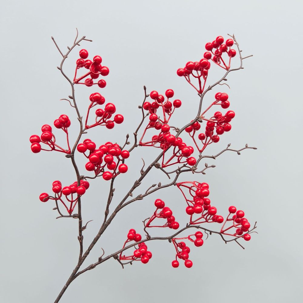 Decorative Simulation Berry Br - огляд і ціна Photography Desk